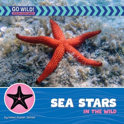 Sea Stars in the Wild by James, Helen Foster