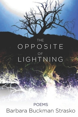 The Opposite of Lightning by Strasko, Barbara Buckman