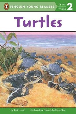 Turtles by Huelin, Jodi