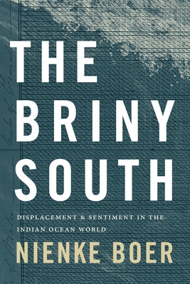The Briny South: Displacement and Sentiment in the Indian Ocean World by Boer, Nienke