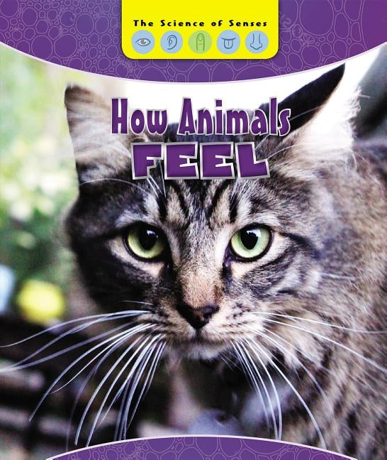 How Animals Feel by Mattern, Joanne