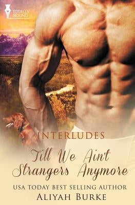 Interludes: Till We Ain't Strangers Anymore by Burke, Aliyah