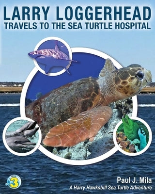 Larry Loggerhead Travels to the Sea Turtle Hospital by Mila, Paul J.