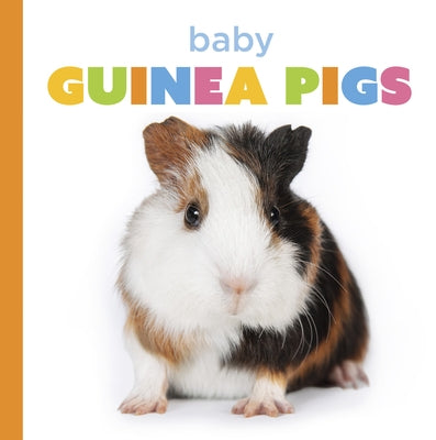 Baby Guinea Pigs by Murray, Laura K.