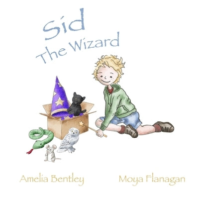 Sid The Wizard by Flanagan, Moya