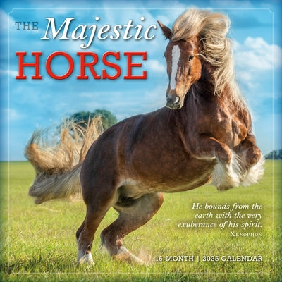 2025 Majestic Horse Wall Calendar by Sellers Publishing, Inc