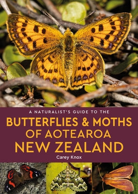 A Naturalist's Guide to the Butterflies & Moths of Aotearoa New Zealand by Knox, Carey