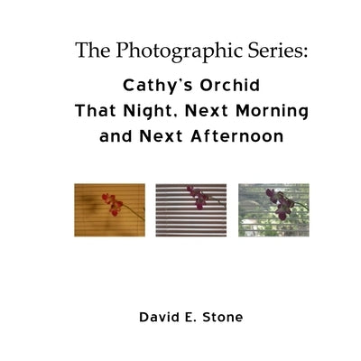 Cathy's Orchid - That Night, Next Morning and Next Afternoon by Stone, David E.