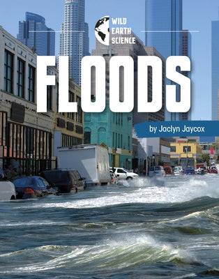 Floods by Werner, Rachel