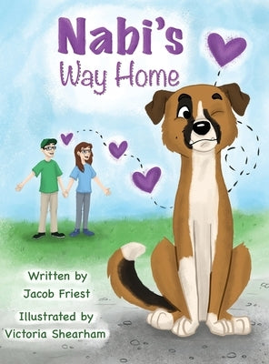 Nabi's Way Home by Friest, Jacob