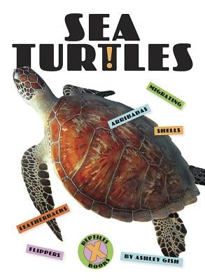 Sea Turtles by Gish, Ashley