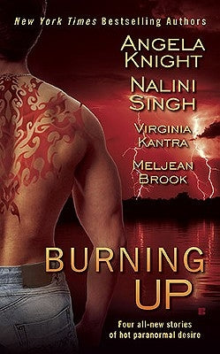 Burning Up by Knight, Angela