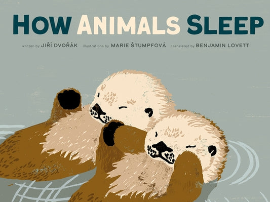 How Animals Sleep by Dvorak, Jiri