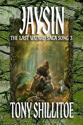 Jaysin: The Last Wizard Saga Song 3 by Shillitoe, Tony