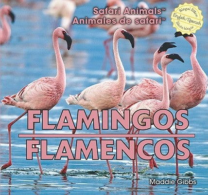 Flamingos / Flamencos by Gibbs, Maddie