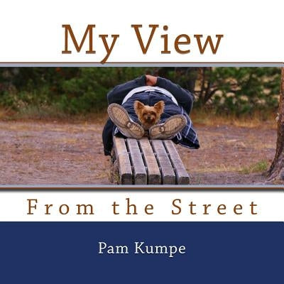 My View from the Street by Kumpe, Pam