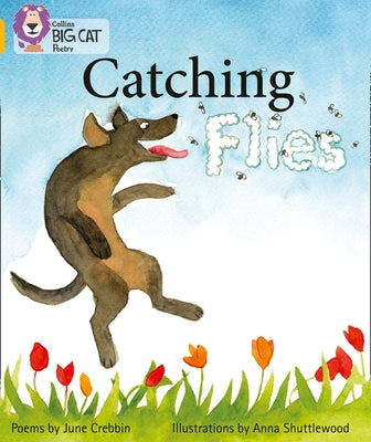 Catching Flies: Band 09/Gold by Crebbin, June