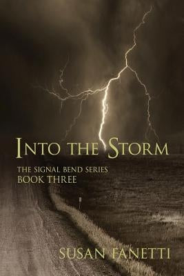 Into the Storm by Fanetti, Susan