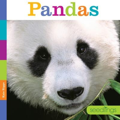 Seedlings: Pandas by Riggs, Kate
