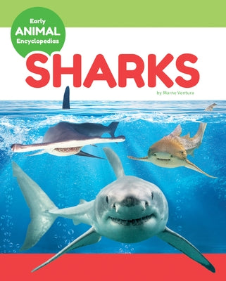 Sharks by Ventura, Marne