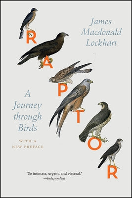 Raptor: A Journey Through Birds by Lockhart, James MacDonald