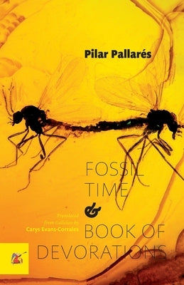 Fossil Time and Book of Devorations by Pallarés, Pilar