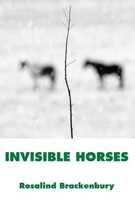 Invisible Horses by Brackenbury, Rosalind