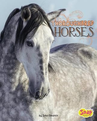 Thoroughbred Horses by Diedrich, John