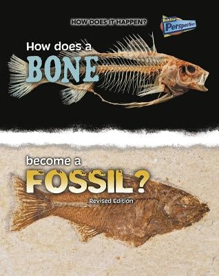 How Does a Bone Become a Fossil? by Stewart, Melissa