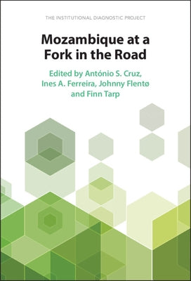 Mozambique at a Fork in the Road: The Institutional Diagnostic Project by Cruz, António S.