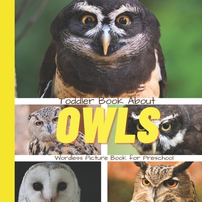 Toddler Book About Owls: A Picture Book for Preschoolers by Hands Books, Busy