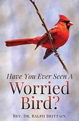 Have You Ever Seen A Worried Bird? by Brittain, Ralph