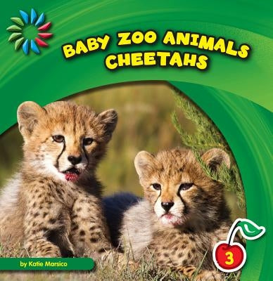 Cheetahs by Marsico, Katie