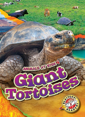 Giant Tortoises by Grack, Rachel