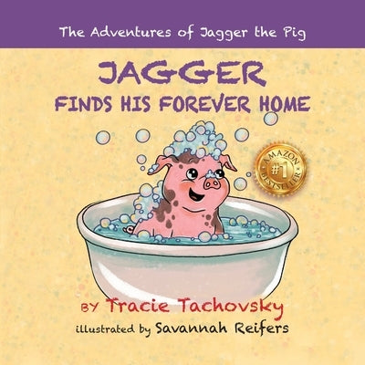 Jagger the Pig Finds His Forever Home by Tachovsky, Tracie