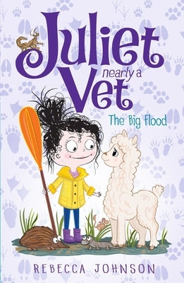 The Big Flood, 11 by Johnson, Rebecca