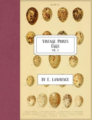 Vintage Prints: Eggs: Vol. 2 by Lawrence, E.