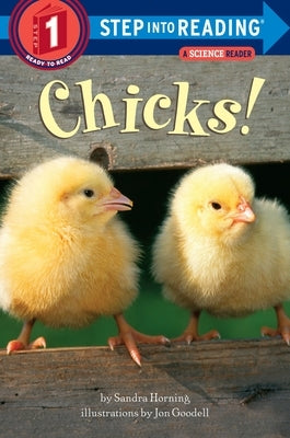 Chicks! by Horning, Sandra
