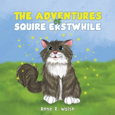 The Adventures of Squire Erstwhile by Walsh, Anne R.