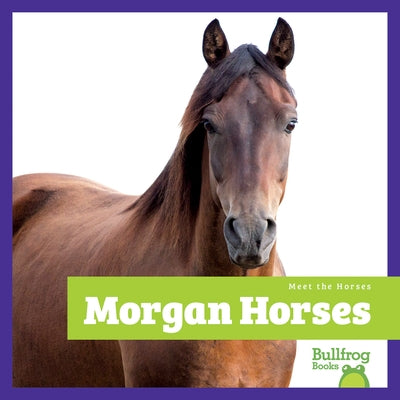 Morgan Horses by Grack, Rachel