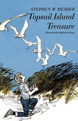 Topsail Island Treasure by Meader, Stephen W.