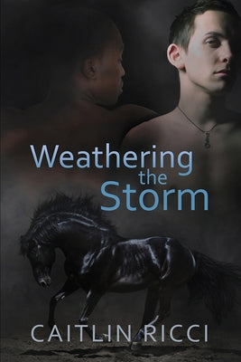 Weathering the Storm: Volume 1 by Ricci, Caitlin