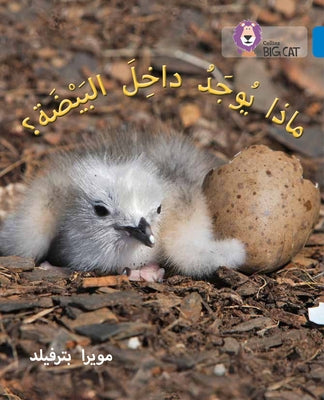 What's in the Egg?: (Level 4) by Collins Uk