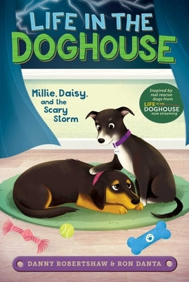 Millie, Daisy, and the Scary Storm by Robertshaw, Danny