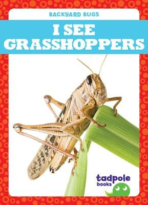 I See Grasshoppers by Nilsen, Genevieve