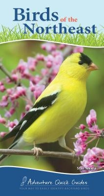 Birds of the Northeast: Your Way to Easily Identify Backyard Birds by Tekiela, Stan