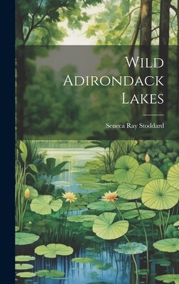 Wild Adirondack Lakes by Stoddard, Seneca Ray 1844-1917