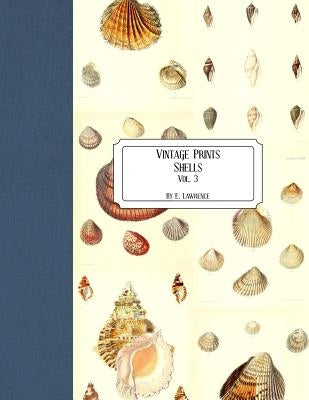 Vintage Prints: Shells: Vol. 3 by Lawrence, E.