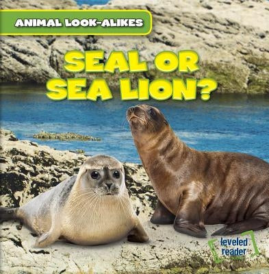 Seal or Sea Lion? by Ryndak, Rob