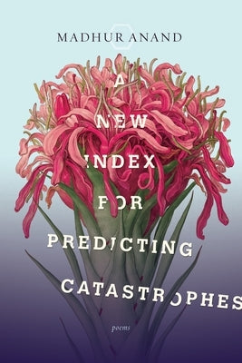 A New Index for Predicting Catastrophes by Anand, Madhur